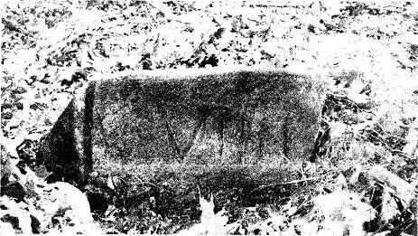 Roman Numerals Carved into
a Fieldstone Grave Marker